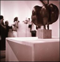 Szentendrei kiállítás Borsódy László keramikus műveiből, 8 db fotónegatív, 6×6 cm