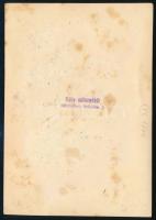 cca 1920-1930 Vidám hölgyek csoportképe, fotó Kóba szombathelyi műterméből, kissé foltos, 11×16 cm