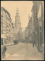 cca 1920 Schweidnitz / Świdnica, Langstrasse, hátoldalon feliratozott fotó, 23×17 cm