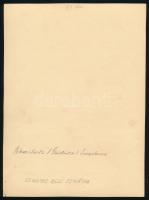 cca 1920 Schweidnitz / Świdnica, Langstrasse, hátoldalon feliratozott fotó, 23×17 cm