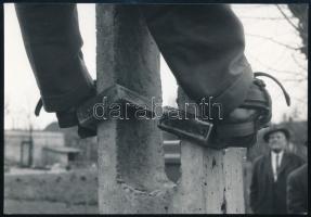 Póznamászók, 3 db fotó, 17,5×12 cm