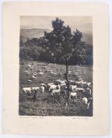 1933 Orphanidesz János (1876-1939): Legelésző marhák, aláírt, művészfólián keresztül fényképezett fo...