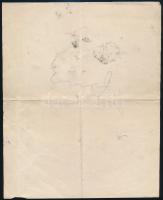 cca 1900 Jókai Mór (1825-1904) szőlőjéről, a szőlő kártevőiről írt kézirata a Pesti Hírlap kedves ol...