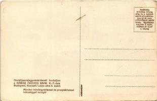 Budapest, Királyi vár, Dörge Frigyes Bank Rt. reklám, Erszébet híd, Kossuth Lajos utca (EK)