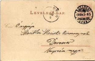 1899 Budapest IX. Közvágóhíd. Rigler Részv. Társ. litho