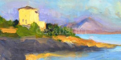 Ferenczy jelzéssel: Tengerpart. Olaj, falemez, díszes fa keretben, 25x35,5 cm