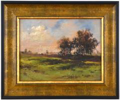 Jelzés nélkül: Táj. Olaj, karton, díszes fa keretben, 21x27,5 cm