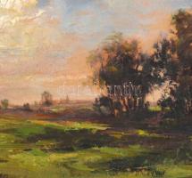 Jelzés nélkül: Táj. Olaj, karton, díszes fa keretben, 21x27,5 cm