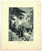 Az Érdekes Újság I. világháborús harctéri képeiből: A diadalok hídja, A rokitnói mocsarak mélyén, st...