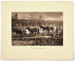 Az Érdekes Újság I. világháborús harctéri képeiből: A diadalok hídja, A rokitnói mocsarak mélyén, st...