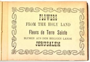 cca 1900-1910 Flowers from the Holy Land-Felurs de Terre Sainte-Blumen aus dem Heiligen Lande-Jerusa...