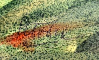 Sztojka László (1910-1971): Csendélet pöttyös bögrével. Akvarell, papír, jelzett, üvegezett fa keret...