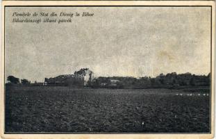 1940 Bihardiószeg, Diosig; állami pincék / Pivnitele de Stat din Diosig in Bihor / wine cellars + M. KIR. POSTA 305 (fl)