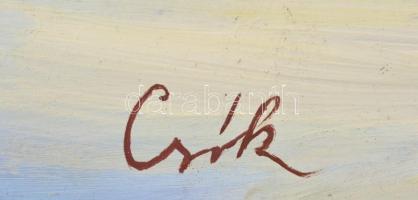 Csók jelzéssel: Téli táj. Olaj, farost, 68×82 cm