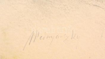 Mednyánczky jelzéssel: Pihenő katona. Ceruza, papír, keret nélkül, 24×33 cm