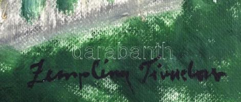 Zemplény jelzéssel: Gellérthegy. Olaj, papír, sérült (jobb felső sarka hiányos), 40x30 cm