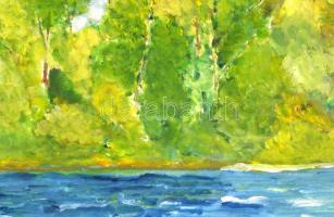 Szőnyi jelzéssel: Folyópart. Olaj, papír, 35,5x50,5 cm