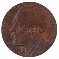 Pátzay Pál (1896-1979) DN "Eötvös József 1813-1874 / Kelety Gusztáv 1834-1902" Br plakett ...