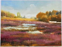 Katona jelzéssel: Táj. Olaj, farost, felületén kisebb karcolásokkal, 30x40 cm