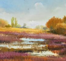 Katona jelzéssel: Táj. Olaj, farost, felületén kisebb karcolásokkal, 30x40 cm