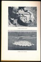 Nagy Gyula: Paraszti állattartás a vásárhelyi pusztán. Néprajzi Közlemények 1-2. Bp., 1968., Néprajz...