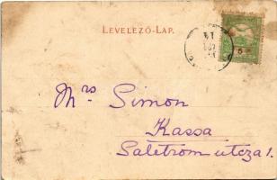 Tuzsér, Thúzsér; Lónyay kastély (szakadás / tear)