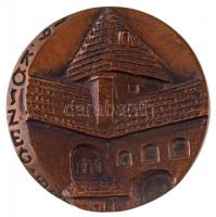 1982. "International Symphosium on Hospital Pharmacy Hungary / Szeged 1982" Br emlékérem (...