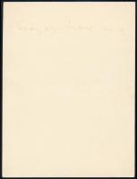 Pólya Tibor (1886-1937): Szinyei Merse Pál portréja. Ceruza, papír, jelzett, hátoldalán feliratozott...