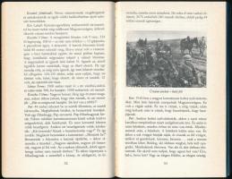 Sára Sándor: Pergőtűz. A 2. magyar hadsereg pusztulása a Donnál. Bp., 1988. Tinódi. Első kiadás! Kia...