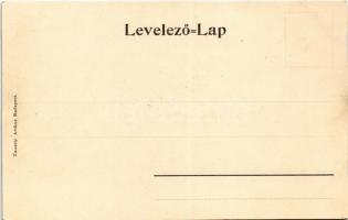 Budapest VIII. Múzeum körút, Nemzeti Múzeum, villamosok. Taussig Arthur 5325. (vágott / cut)