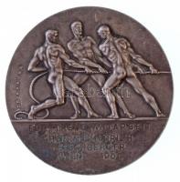 Ausztria / Bécs 1966. "Bécsi Kereskedelmi Kamara / Hűséges Munkáért" ezüstözött Br emlékér...