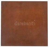 Német Birodalom ~1900. "Sieben auf einen Streich" Br plakett. Szign.: Hofner (70x73mm) T:1...