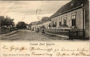 1905 Felsőpulya, Oberpullendorf; utca. Nussbaum N. Ferenc kiadása / street (EK)