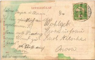 1911 Karánsebes, Caransebes; Fő utca, Reisz B. üzlete / main street, shop. W.L. Bp. 6762.  (fl)