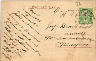 1912 Munkács, Mukacheve, Mukacevo; Latorca part. W.L. 1181. / Latorica (Latorytsia) riverside (EK)