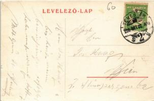 1908 Temesvár, Timisoara; Lonovics utca, Löwi Lipót üzlete / street, shop (r)