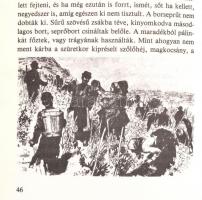 Bogdán István: Mestere volt egykor... Bp.,1984,Magvető. Kiadói egészvászon-kötés, kiadói papír védőb...
