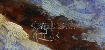 Olvashatatlan jelzéssel: Napfényes téli táj. Olaj, fa, sérült (felületén karcolásokkal), 40x59,5 cm