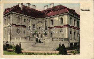 Temesvár, Timisoara; kastély / castle