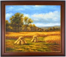 Beckmann jelzéssel: Gabona aratás. Olaj vászon. 52x61 cm Fa keretben