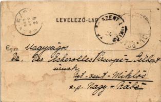 1902 Biharfüred, Stana de Vale, Stina de Vale; Jericho romjai. Titkosírással írt lap / rock, hiking ...