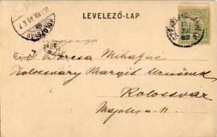 1902 Biharfüred, Stana de Vale, Stina de Vale; Eminenciás esés a Galbinában, vízesés / waterfall