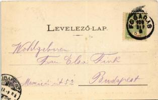 1904 Fogarasi-havasok (Fogarasi Kárpátok), Fogarascher Karpathen, Muntii Fagarasului; Üdvözlet a fog...