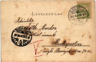 1903 Nagyenyed, Aiud; Alsó-Fehér vármegye székháza. Winkler János kiadása / Alsó-Fehér County Hall (...