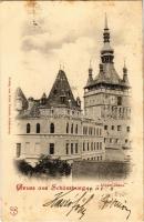 1899 Segesvár, Schässburg, Sighisoara; Albert-Haus / Albert-ház. Fritz Teutsch kiadása / institute (fl)