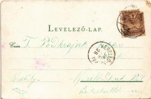 1901 Nagykároly, Carei; Gróf Károly kiastély és park. Csókás László kiadása / castle, park (kopott s...