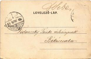 1903 Menyháza, Monyásza, Moneasa; villák / villas  (Rb)