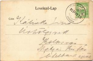 1911 Szamosfő, Maguri; Magurai nyaralótelep, út részlet / holiday resort, road (EK)