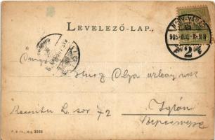 1905 Nagyvárad, Oradea; Püspöki palota és székesegyház. Helyfi László kiadása / Bischöflicher Dom un...