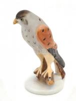 Herendi porcelán sólyom madár figura, kézzel festett, jelzett, hibátlan, m: 7,5 cm